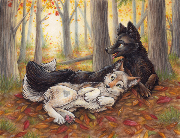 A couple of wolves snuggle up as the leaves begin to fall. 