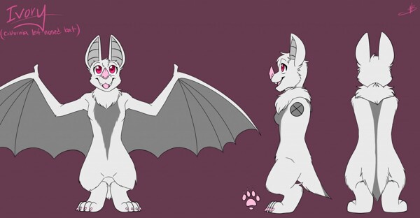Ivory The California Leaf Nosed Bat Ref Sheet By Ivorypocky Fur.