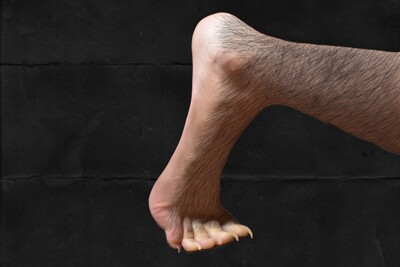 Werewolf Foot Transformation. by. 